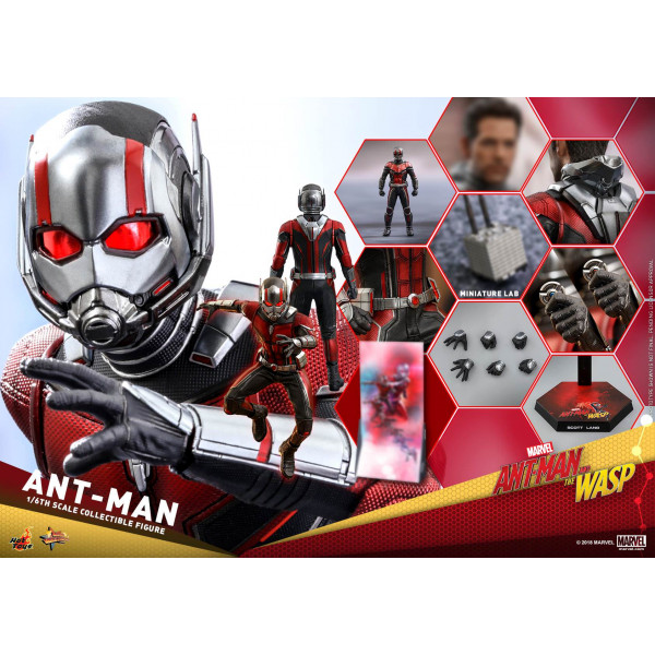 Hot Toys MMS 497 Ant-man and the Wasp – Ant-man
