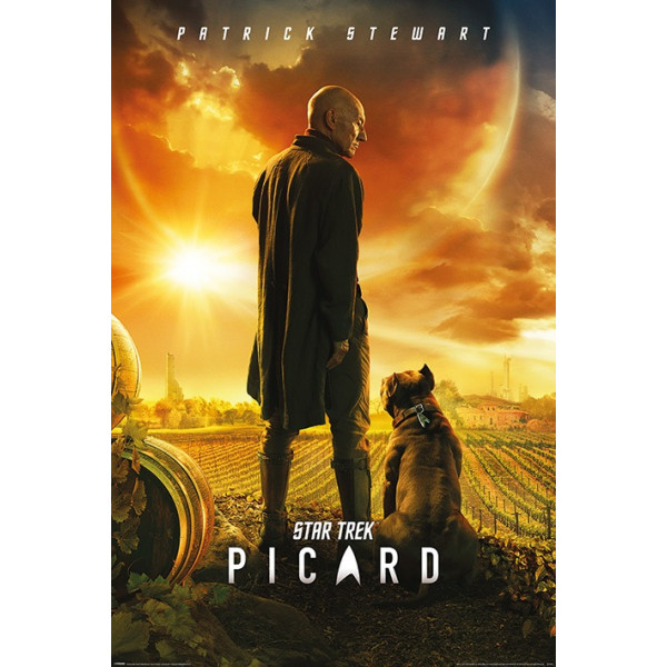 Poster Star Trek Picard (Picard numero uno)