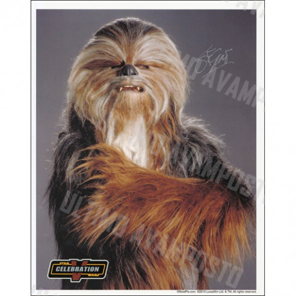 Autografo John Coppinger Star Wars Senatore Wookiee Foto 20x25