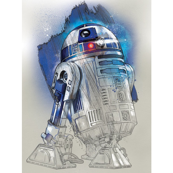 Quadro Star Wars The Last Jedi (R2-D2 Brushstroke)
