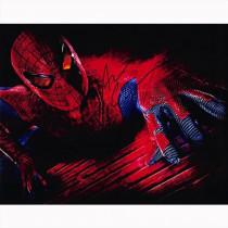 Autografo Andrew Garfield 3- The Amazing Spider-Man Foto 20x25