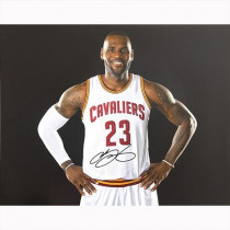 LeBron James - Cleveland Cavaliers Foto 20x25 :