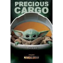 Poster di Star Wars: The Mandalorian (Precious Cargo)