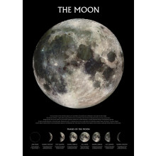 The Moon la Luna (Phases)
