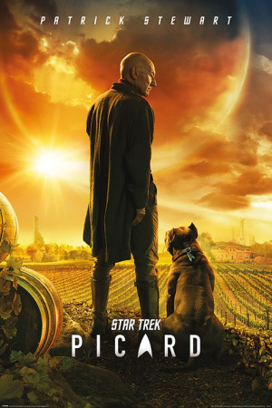 Poster Star Trek Picard (Picard numero uno)