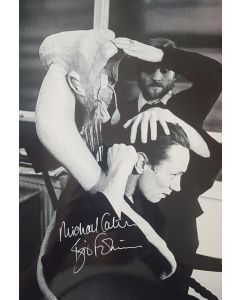 Autografo Michael Carter Star Wars Bib Fortuna 2 Foto 20x30: 