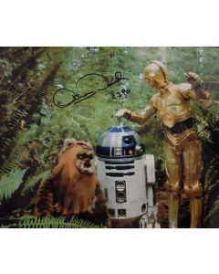 Autografo Star Wars Anthony Daniels 3 -Foto 20x25