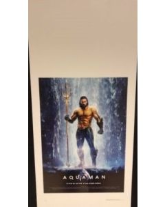 LOCANDINA AQUAMAN MISURA 33X70