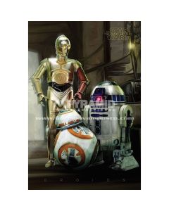 Poster Star Wars Episode VII Droids