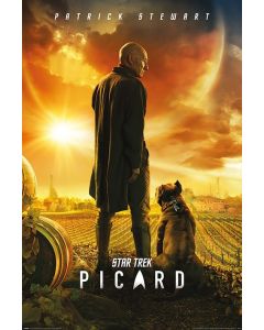 Poster Star Trek Picard (Picard numero uno)