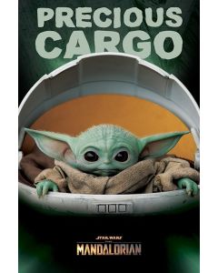 Poster di Star Wars: The Mandalorian (Precious Cargo)