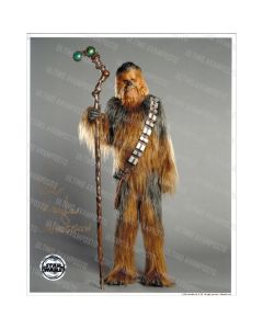 Autografo Peter Mayhew Star Wars 2 Foto 20x25