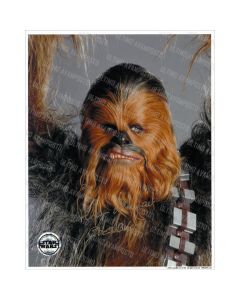 Autografo Peter Mayhew Star Wars 4 Foto 20x25